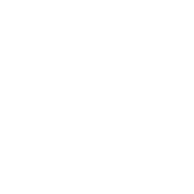 C.Saucy