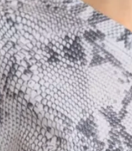 Snake Skin